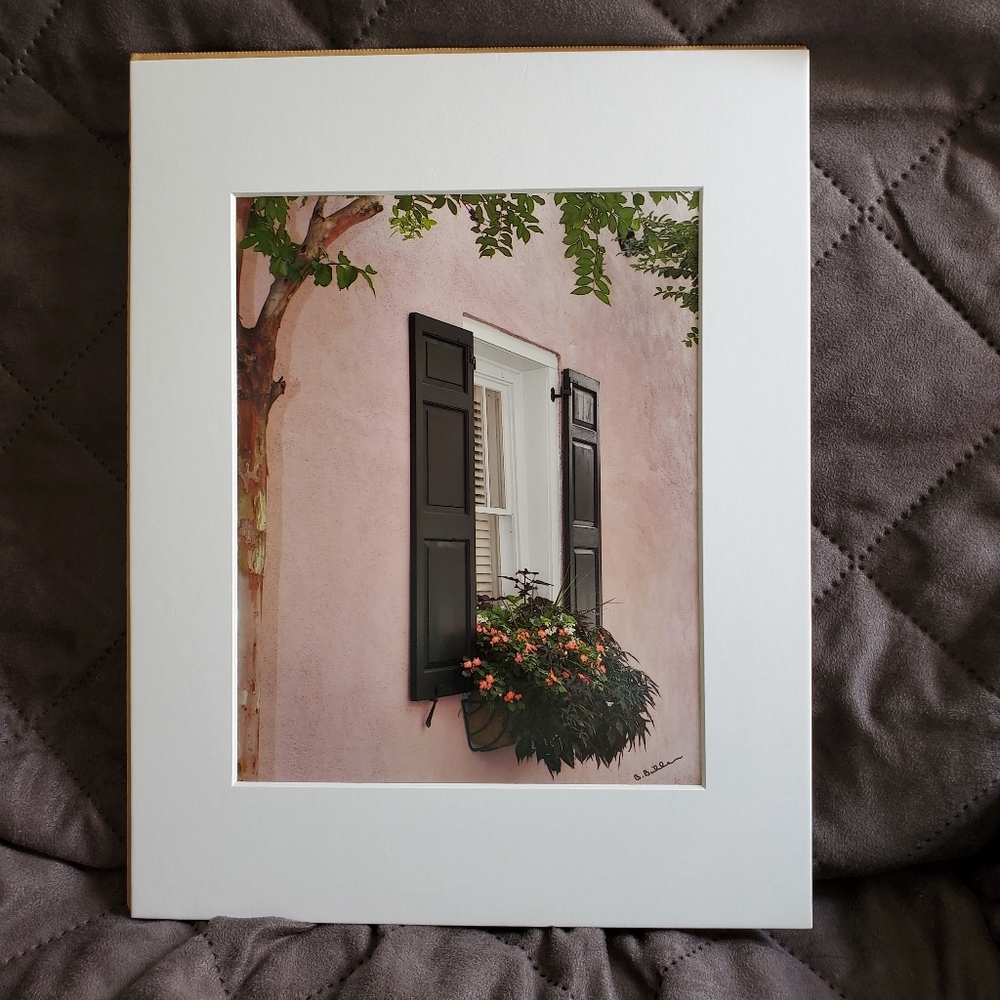 Charleston S.C Photo 11x14 Color